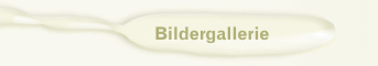 Bildergallerie